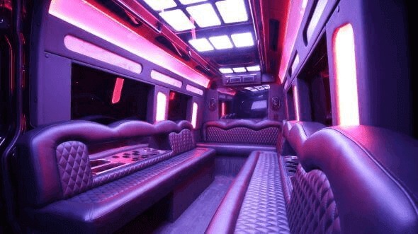 Interior of Winston Salem Party Bus Company's 14 Passenger Sprinter Limousine in Mooresville