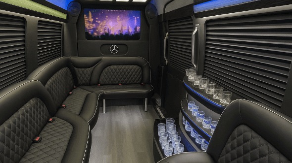 winston salem 14 passenger sprinter limousine interior